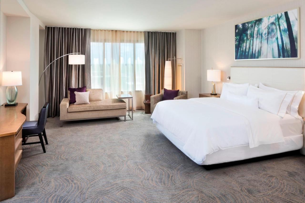 Junior Suite 1 King Bed